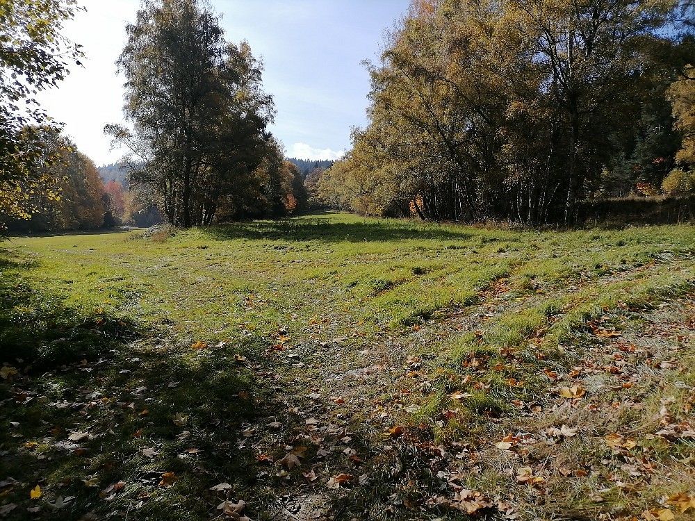 Louky, Rožmitál na Šumavě - Zahrádka, okres Český Krumlov - 2
