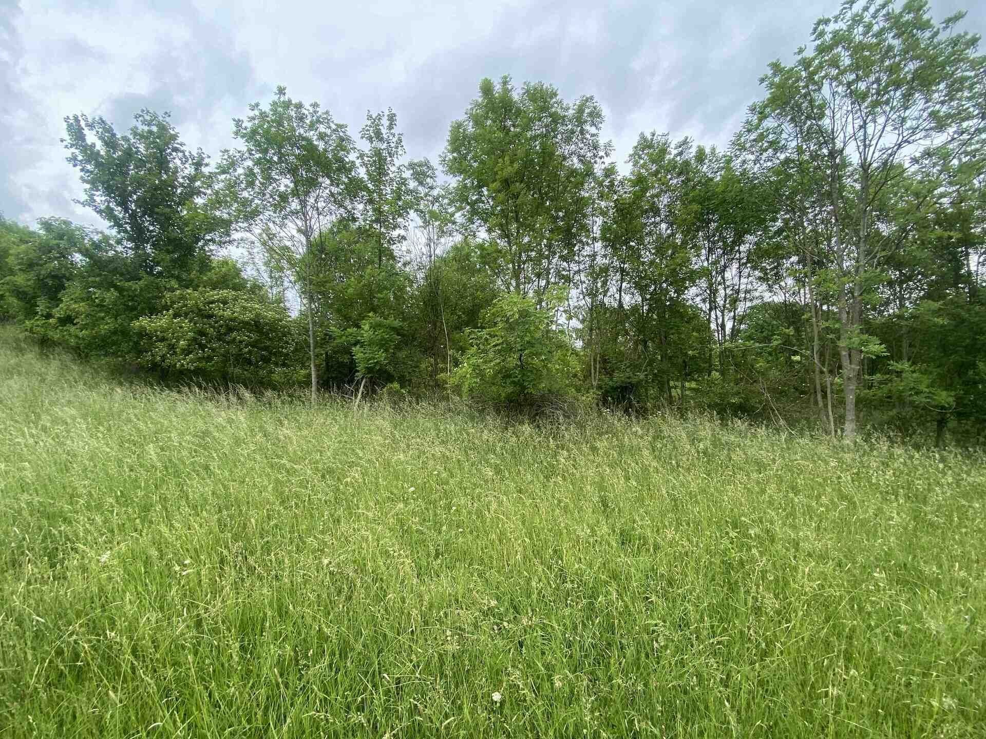 Zemědělský pozemek · 12 772 m² · Třebívlice Skalice - 3