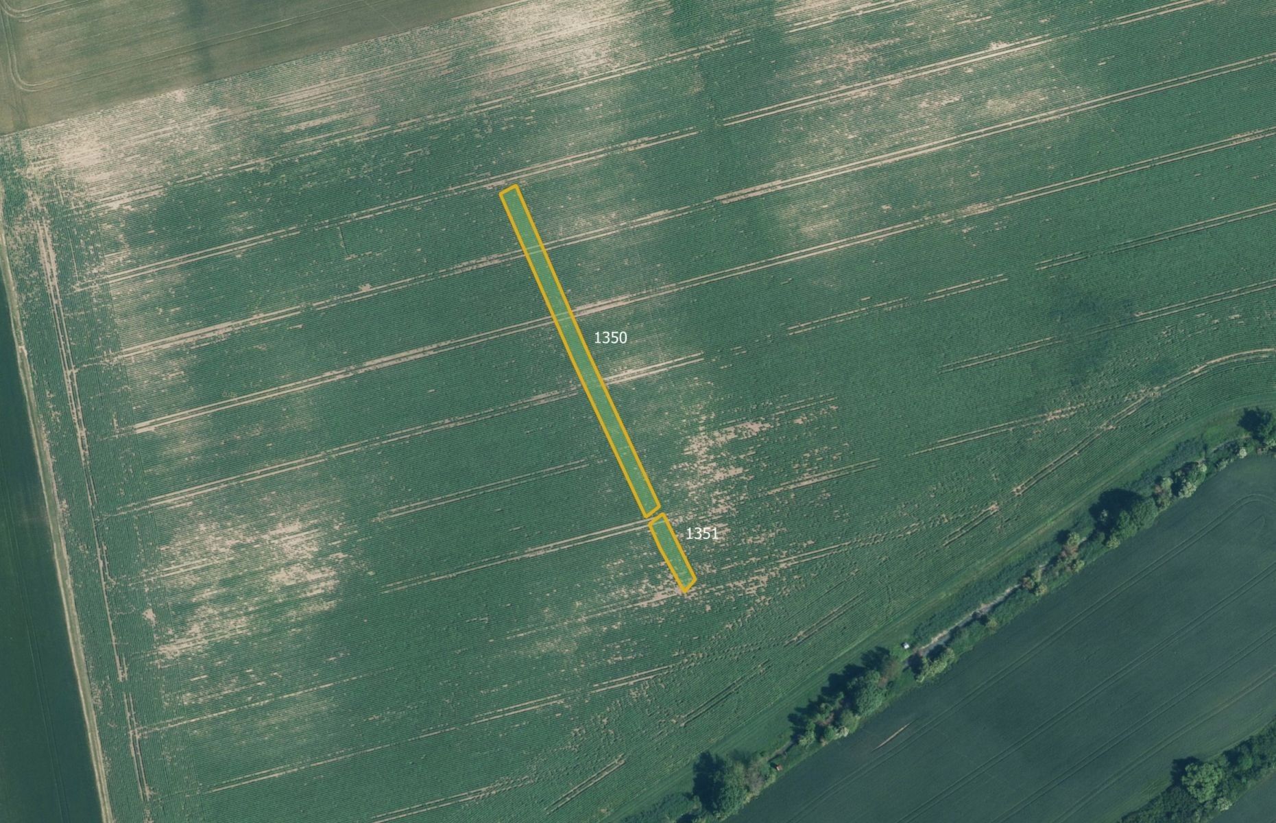 Zemědělské pozemky, Ždánice