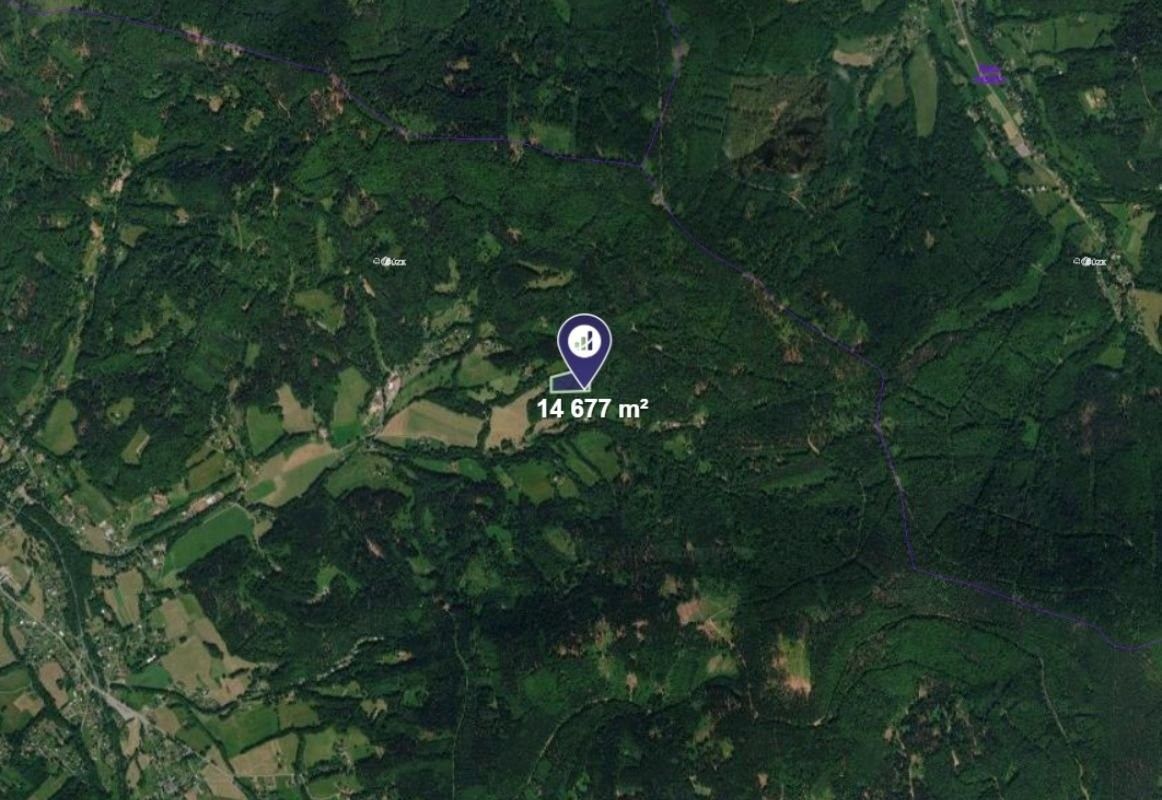 Lesy, Morávka, 14 677 m² - 2