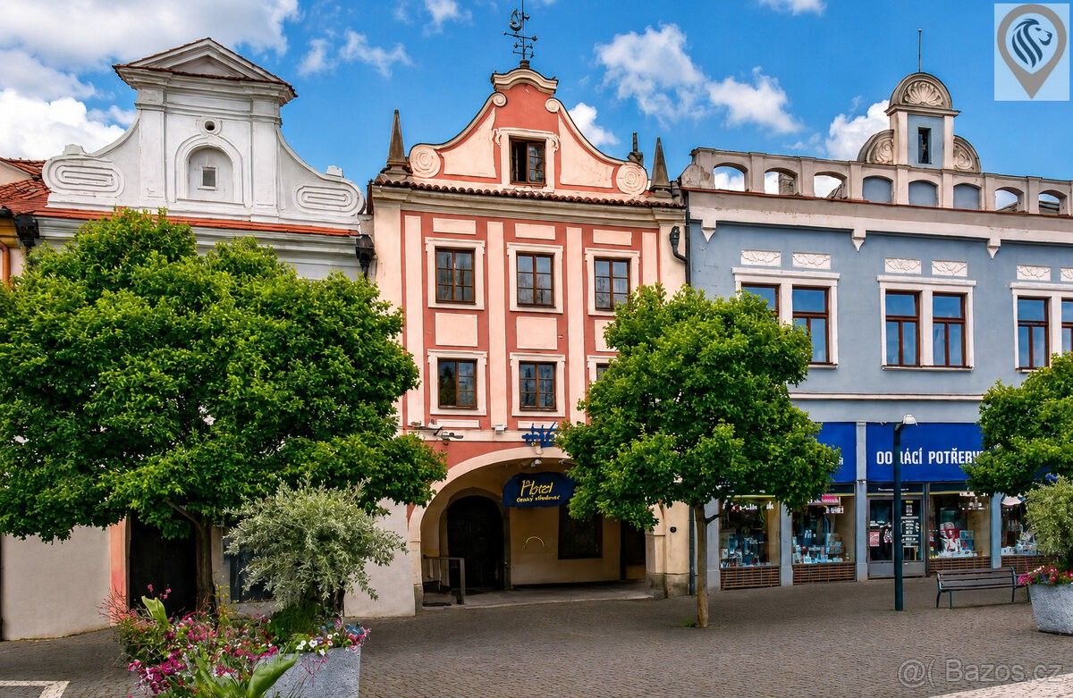 Ostatní, Mladá Boleslav, 293 01 - 1