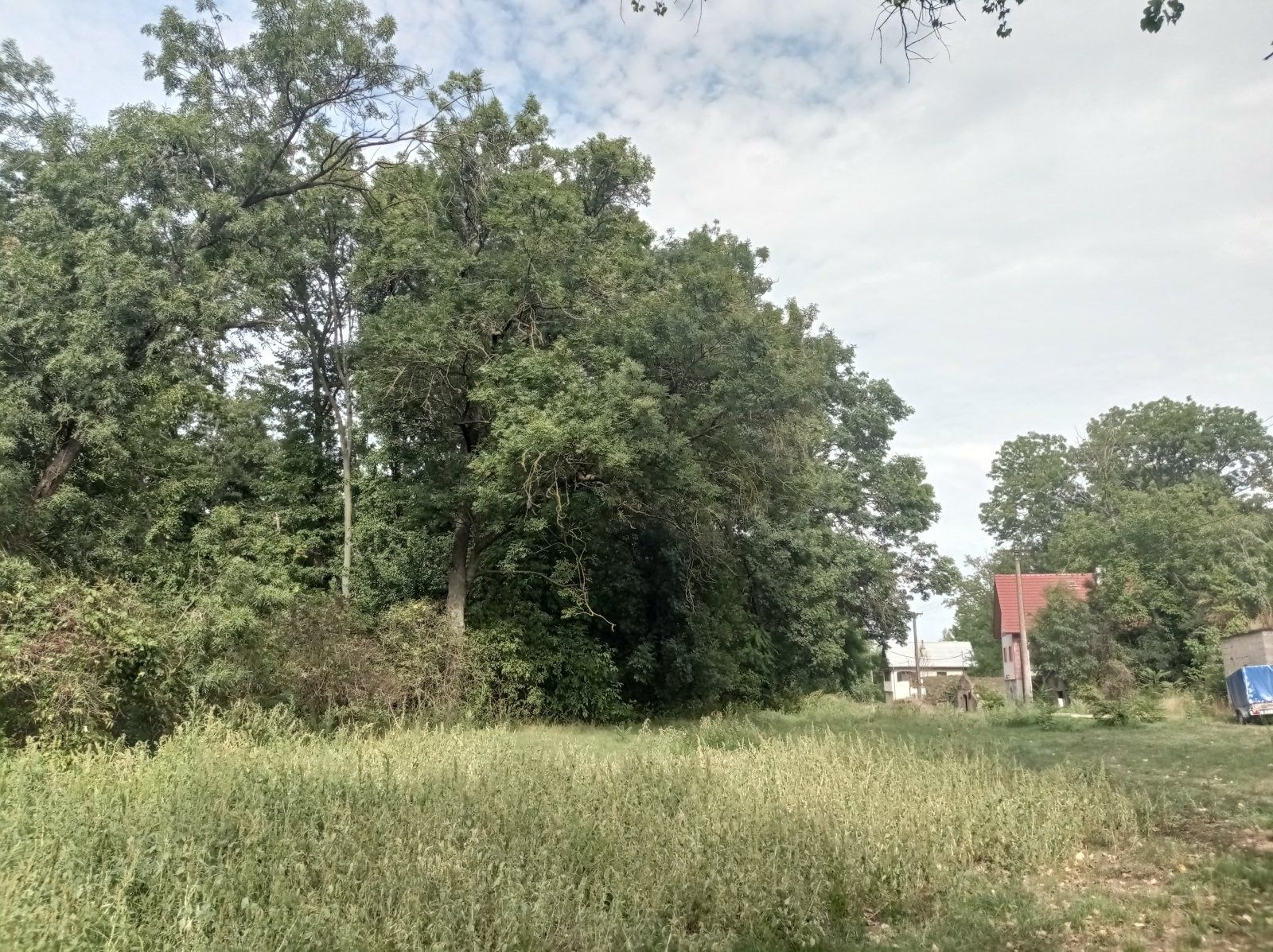 Pozemek · 6 724 m² · Brod nad Dyjí - 4