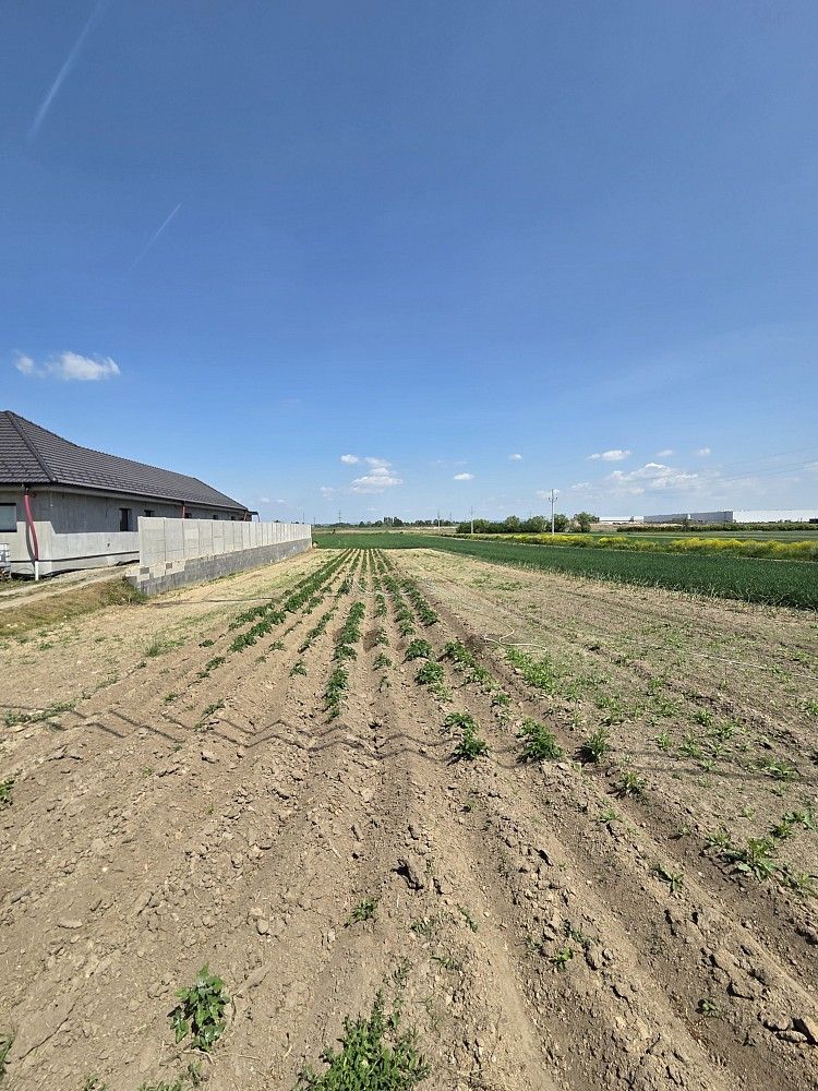 Pozemek pro bydlení, 1 035 m²