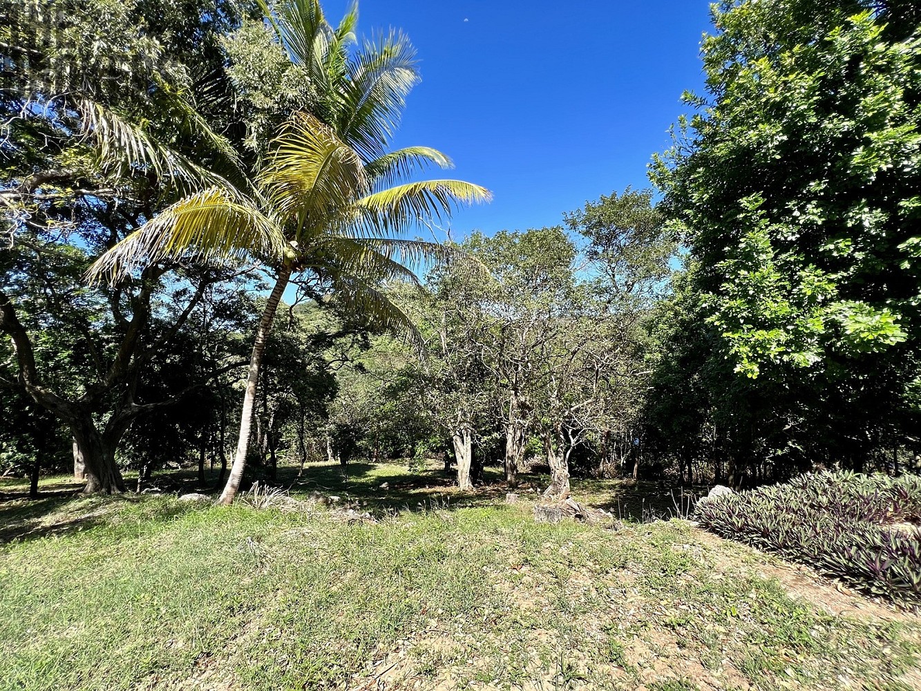 Pozemky pro bydlení, Coxen Hole, Roatán, Honduras - 1