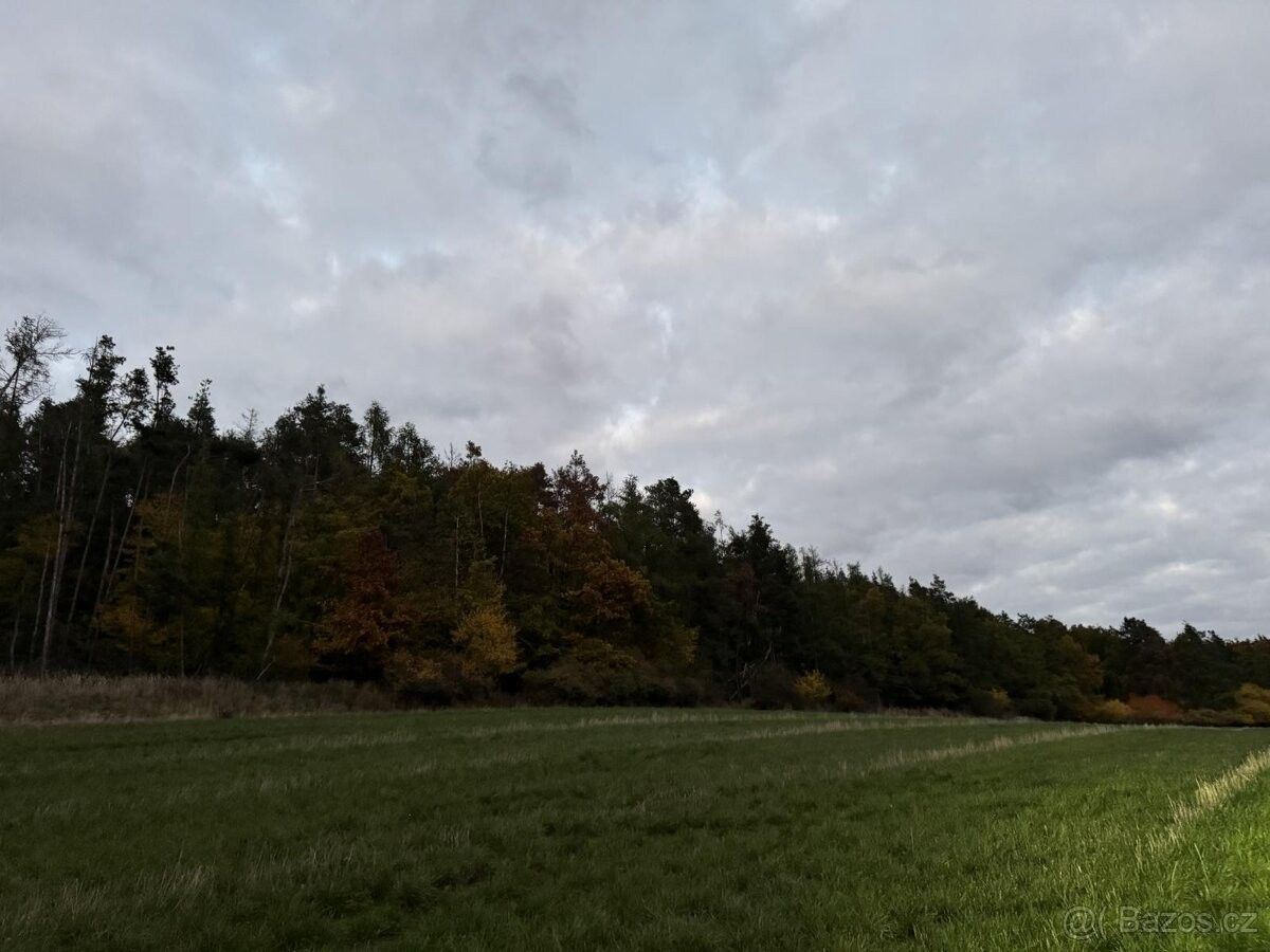 Pozemky pro bydlení, Přeštice, 334 01