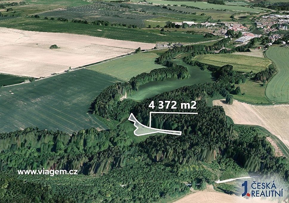 Prodej les - Žirovnice, okres Pelhřimov, Kraj Vysočina - 2