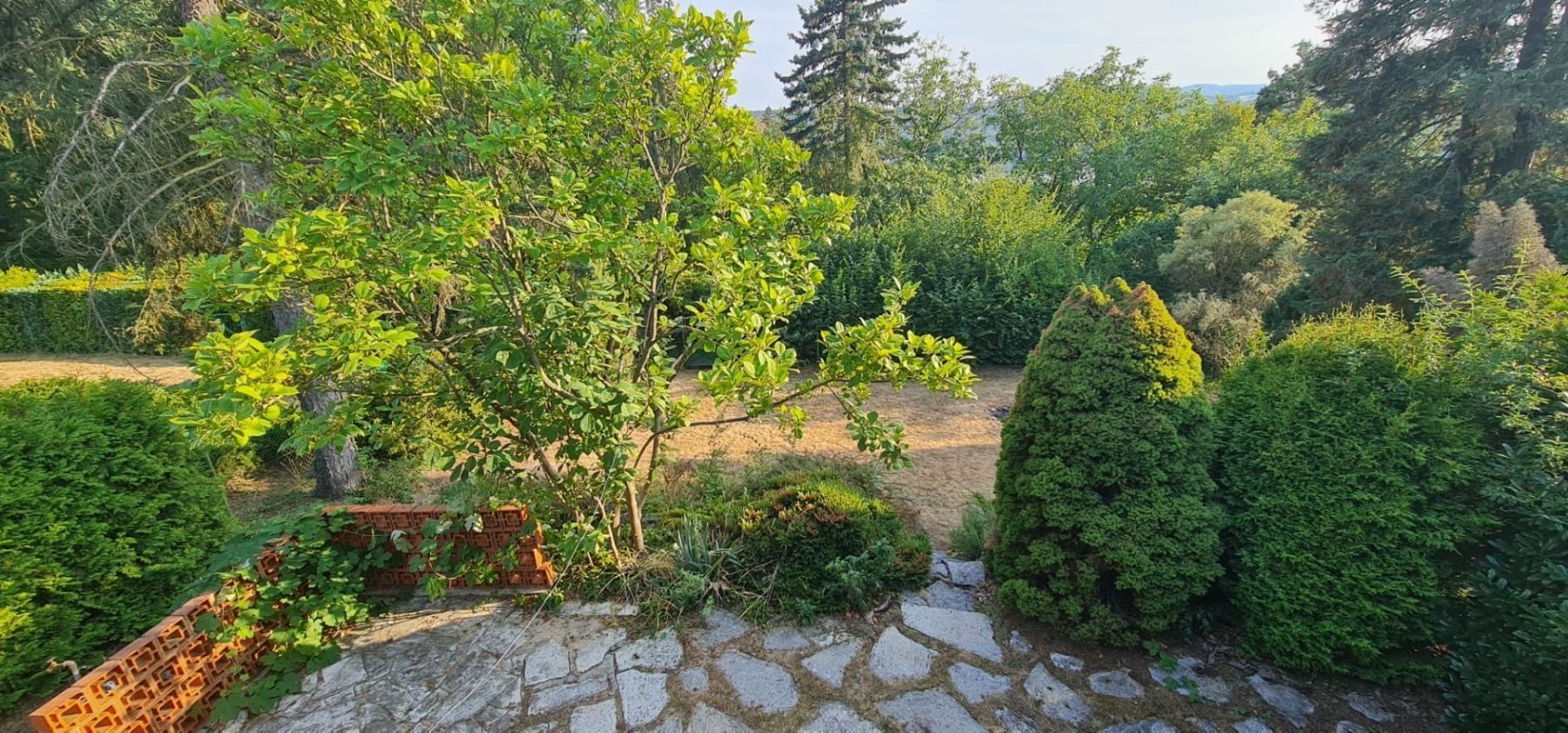 Chaty, Rabyně - Rabyně, Středočeský kraj, 42 m² - 2