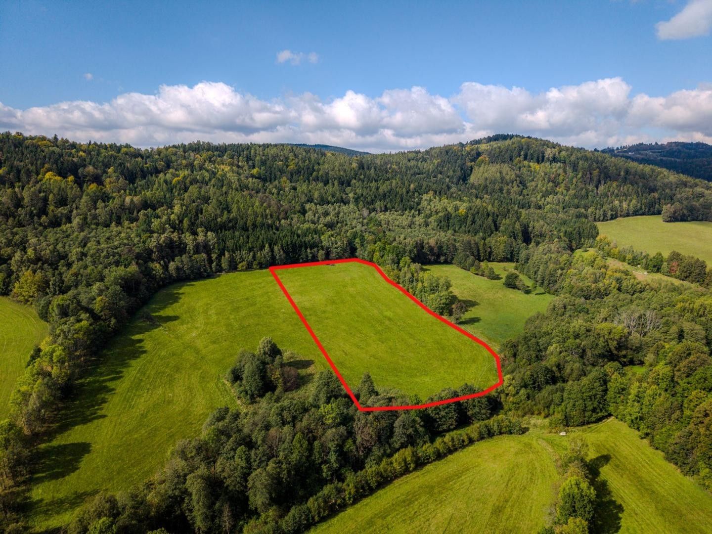 Prodej louka - Zadní, Velké Losiny