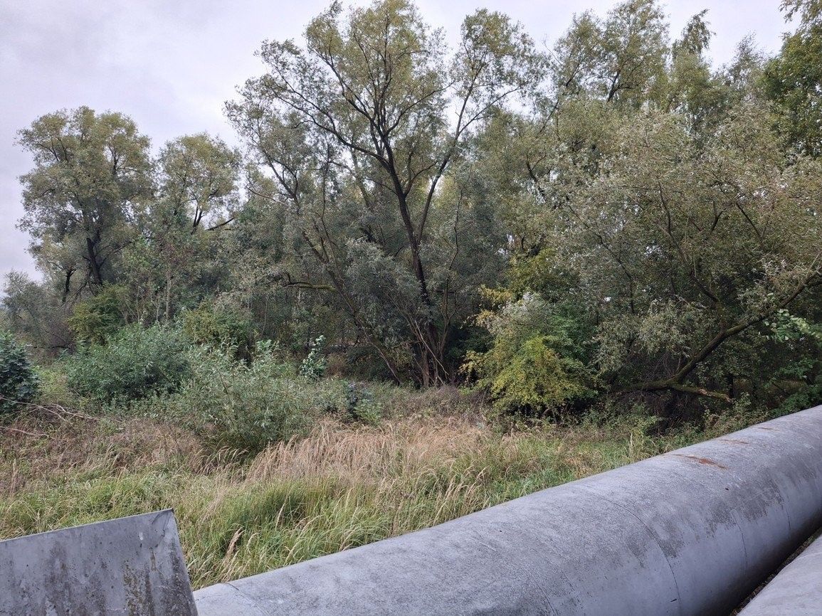 Prodej pozemek - Nejdecká, Chodov