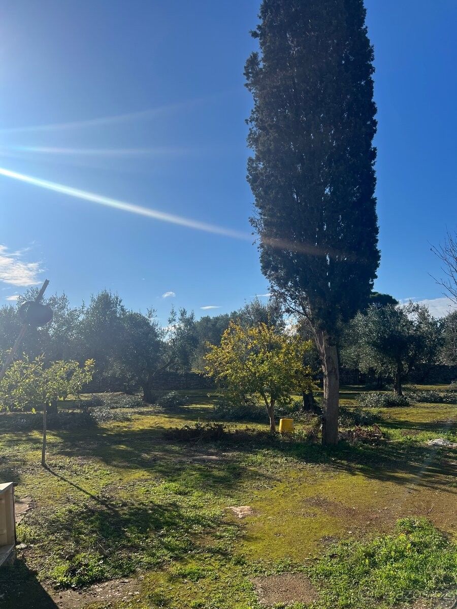 Prodej chata - Olomouc, 779 00