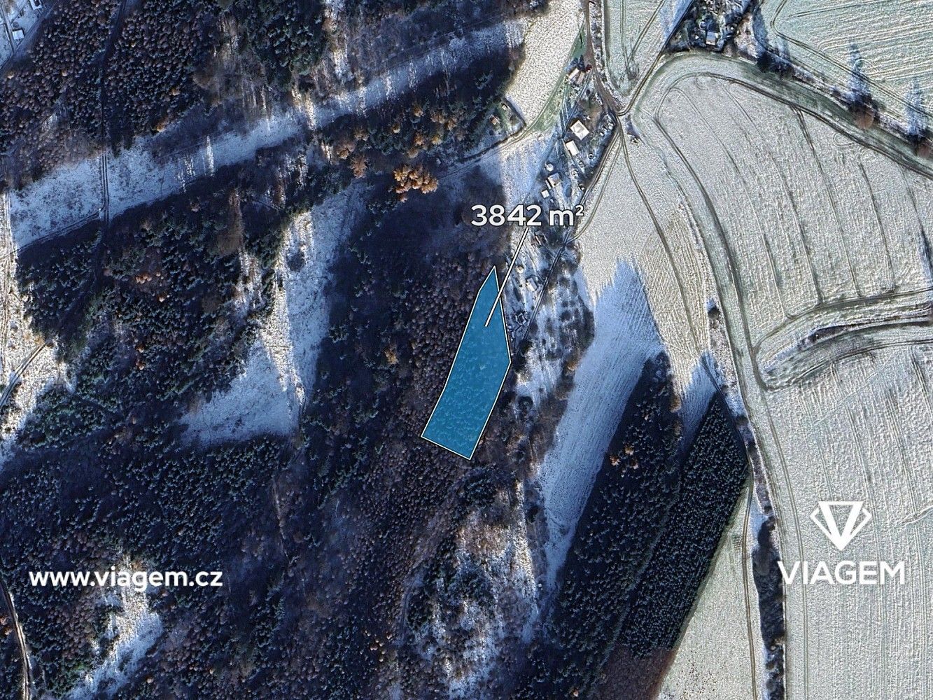 Les · Česká Třebová, okres Ústí nad Orlicí, Pardubický kraj - 2