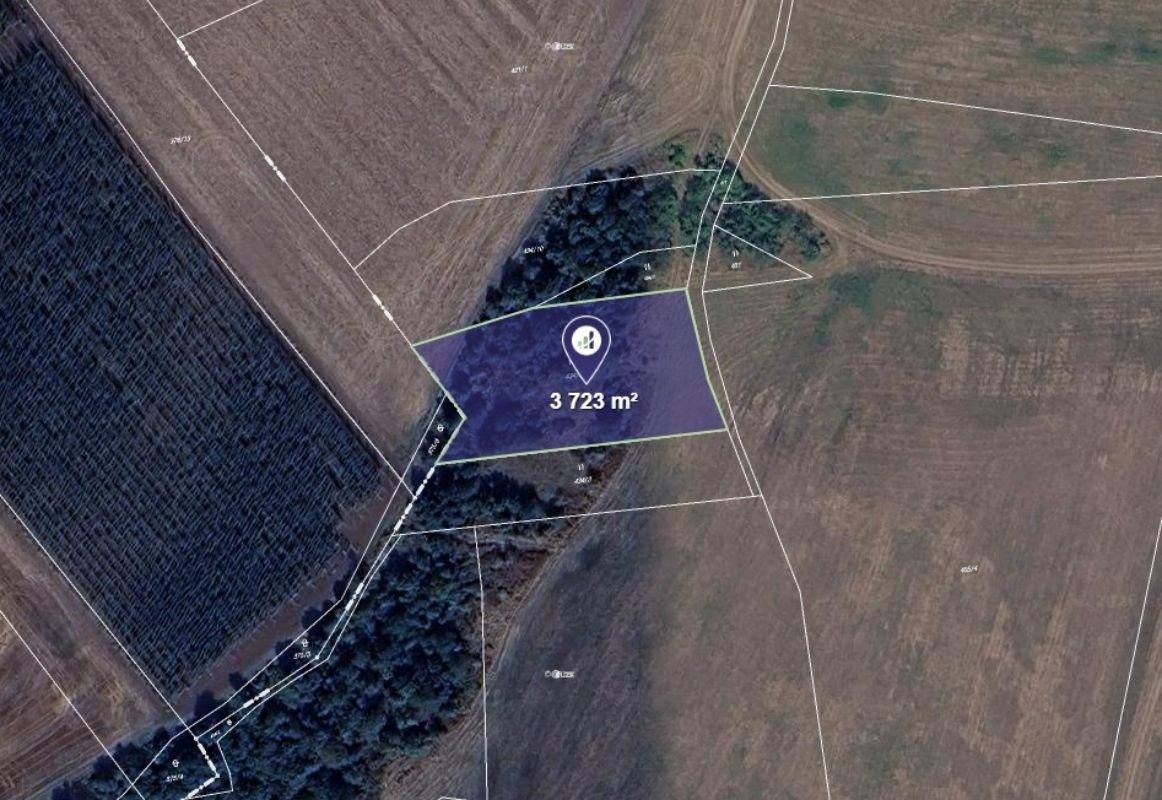 Ostatní, Nové Sedlo - 1
