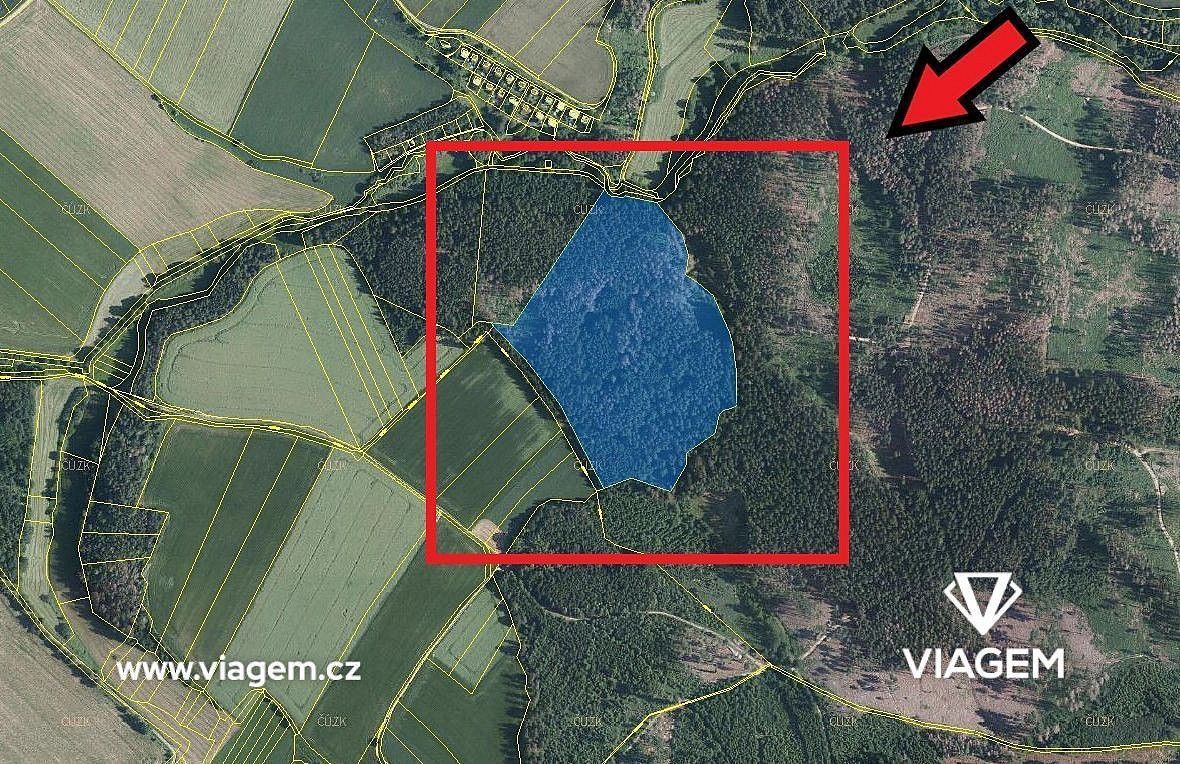 Prodej les - Katov, okres Brno-venkov, Jihomoravský kraj - 2