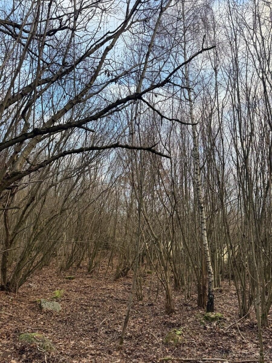 Prodej pozemek pro bydlení - Kolinec, 341 42