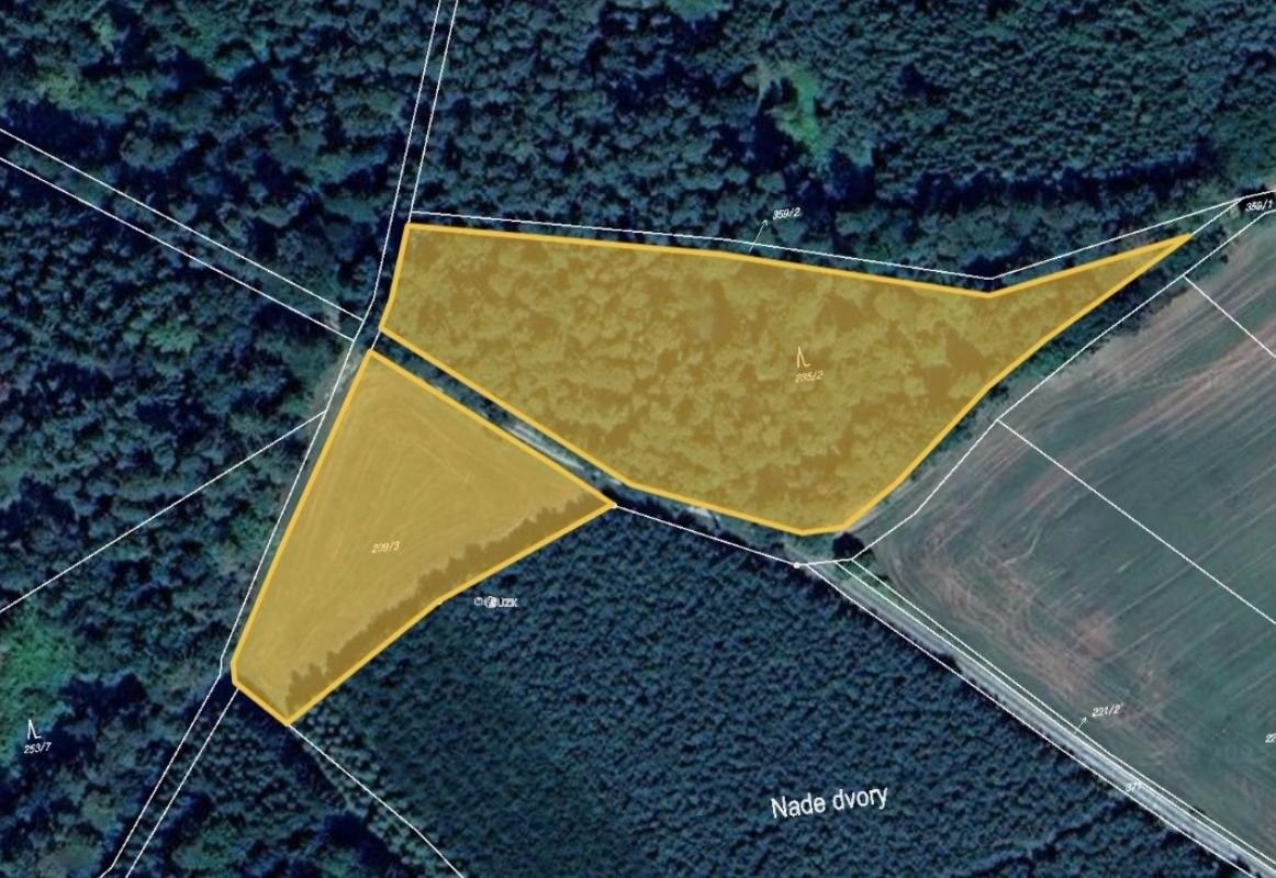 Pronájem les - Hrazany, 7 381 m²