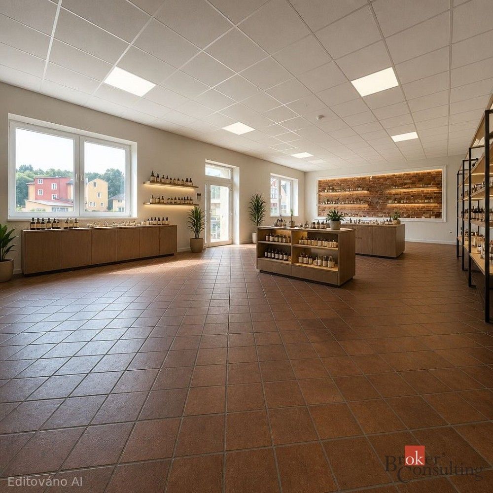 Obchodní prostory · 99 m² · Hořovice, okres Beroun, Středočeský kraj - 4