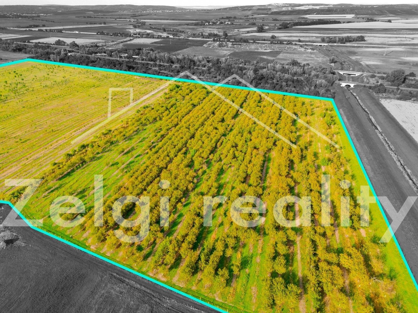 Prodej pozemek - Rakvice, 210 m²