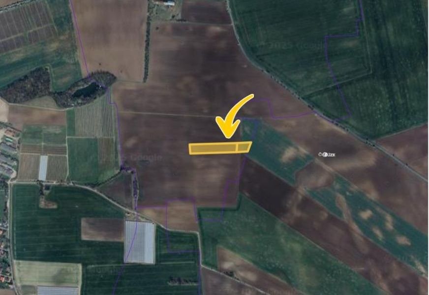 Prodej zemědělský pozemek - Černíky, 10 282 m²