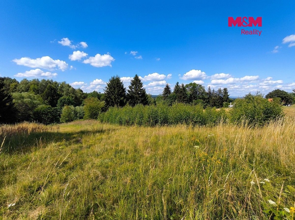 Prodej louka - Mikuleč, okres Svitavy, Pardubický kraj - 2