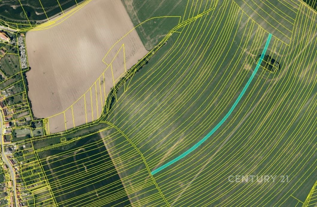 Prodej zemědělský pozemek - Nemotice