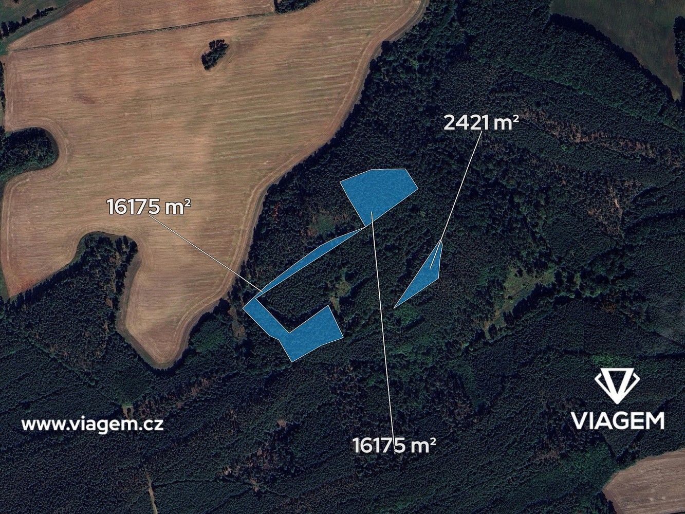 Les · Libovice, okres Kladno, Středočeský kraj - 2