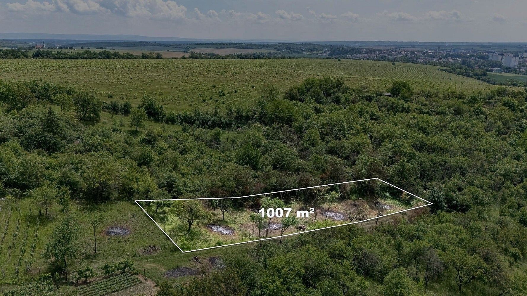 Zahrady, Kyjov, okres Hodonín, Jihomoravský kraj - 2