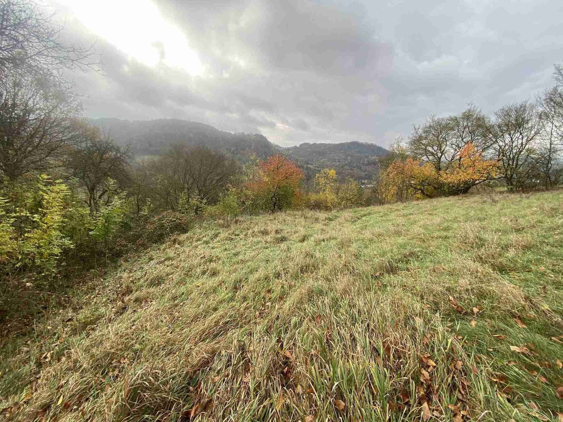 Pozemek · 4 431 m² · Děčín XXVII-Březiny - 3