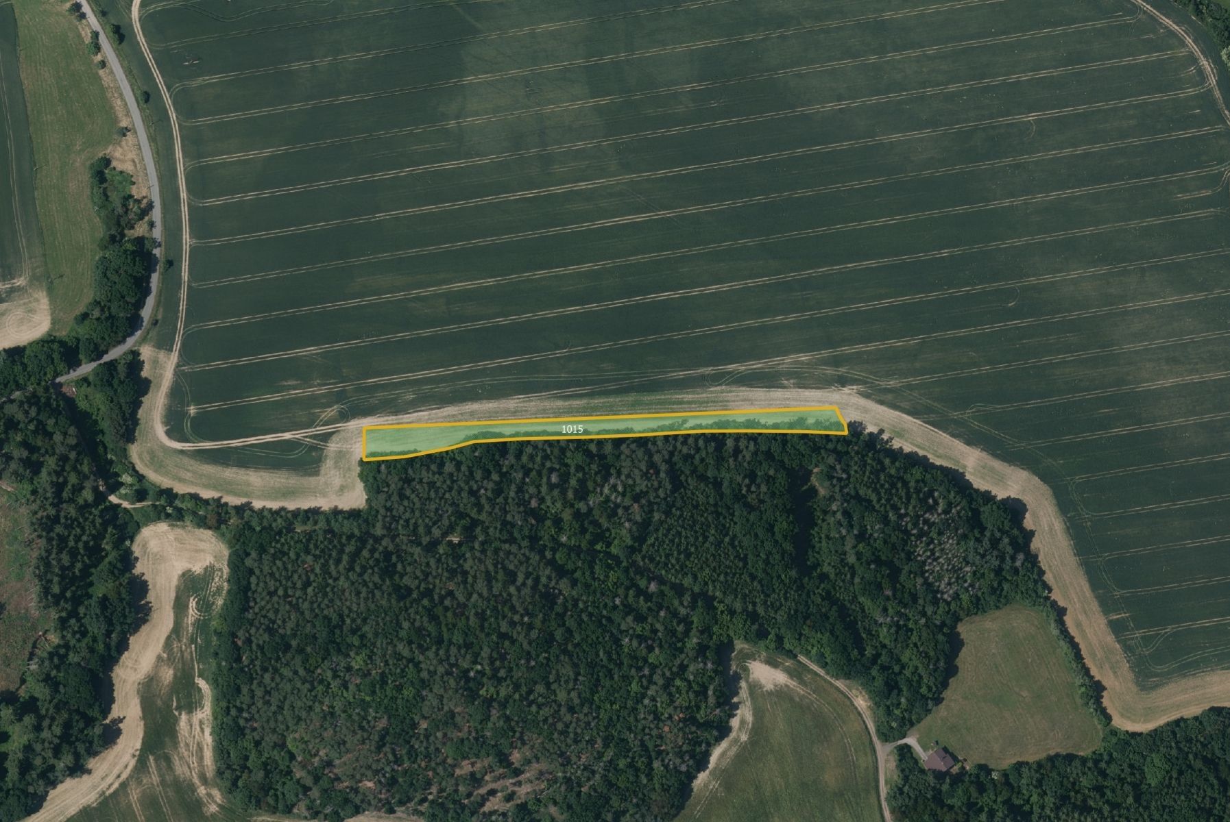 Prodej zemědělský pozemek - Kladruby Třímany - 2