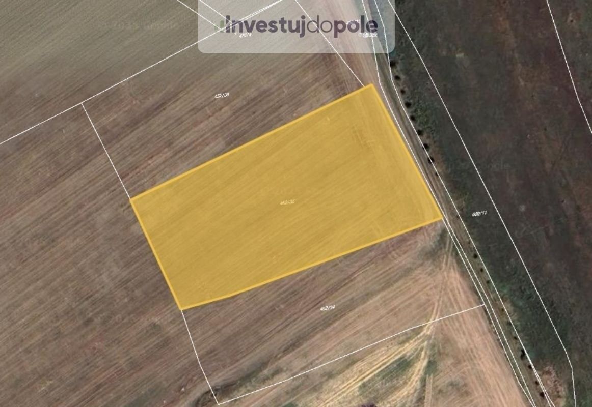 Prodej zemědělský pozemek - Dolany, 16 500 m²