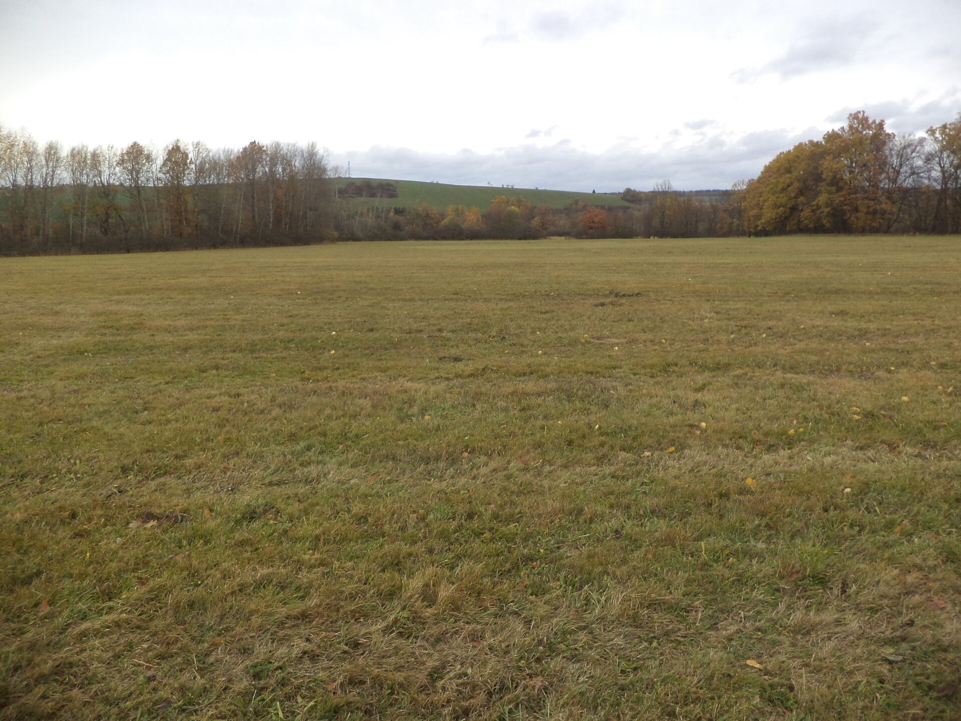 Zemědělský pozemek · 15 078 m² · Ždírec - 3