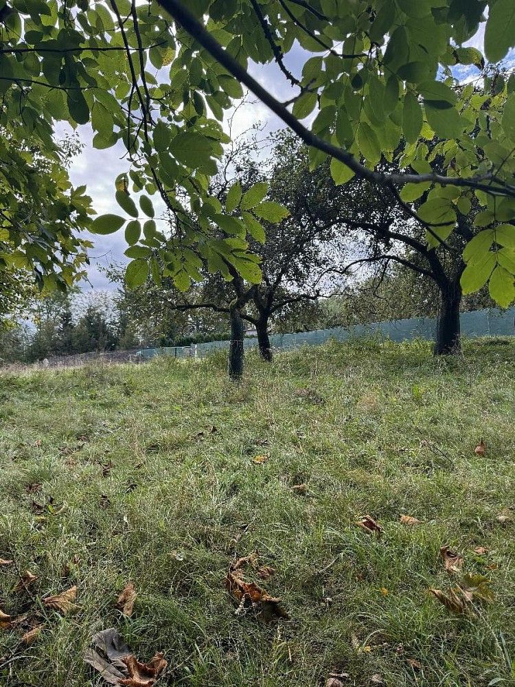 Pozemek · Velké Svatoňovice - Druztová - 4