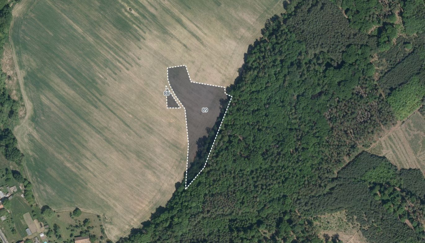 Prodej zemědělský pozemek - Morašice