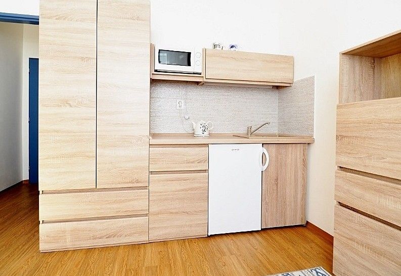 1+kk, Cejl, Brno - Zábrdovice, 17 m² - 1