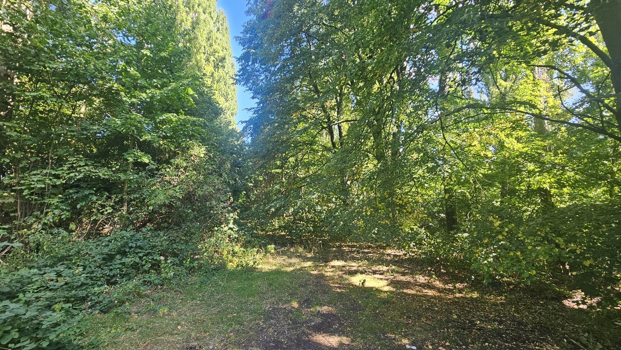 Prodej pozemek pro bydlení - Litoměřická 1069, Ústí nad Labem Střekov, 5 391 m² - 5
