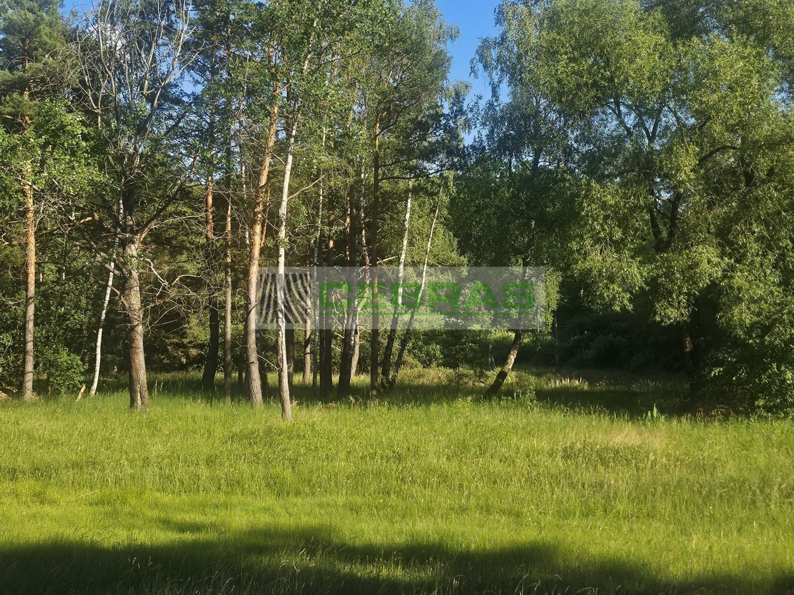 Louka · 3 029 m² · Třeboňská, Třeboň - 3
