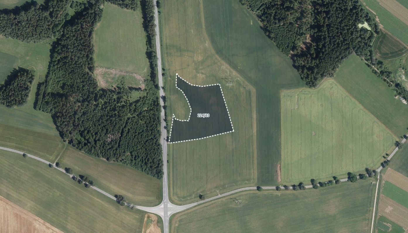 Prodej zemědělský pozemek - Dřevíkov, Vysočina