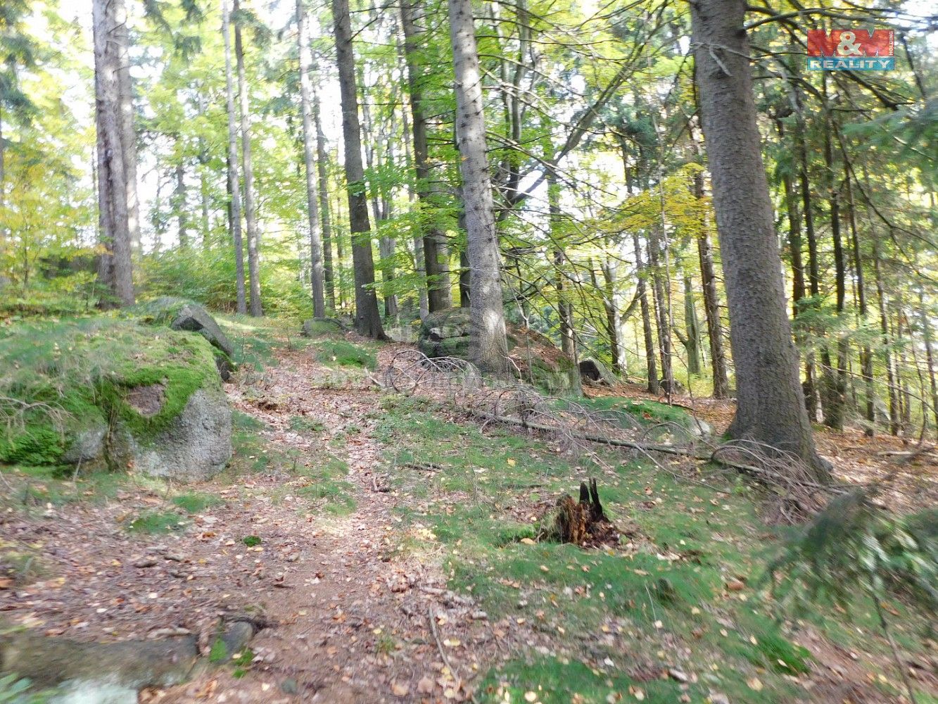 Louka · Lučany nad Nisou, okres Jablonec nad Nisou, Liberecký kraj - 3