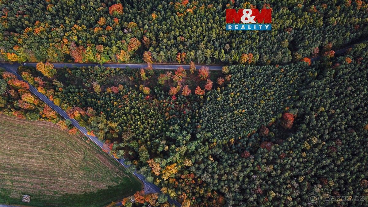 Pozemky pro bydlení, Luže, 538 54