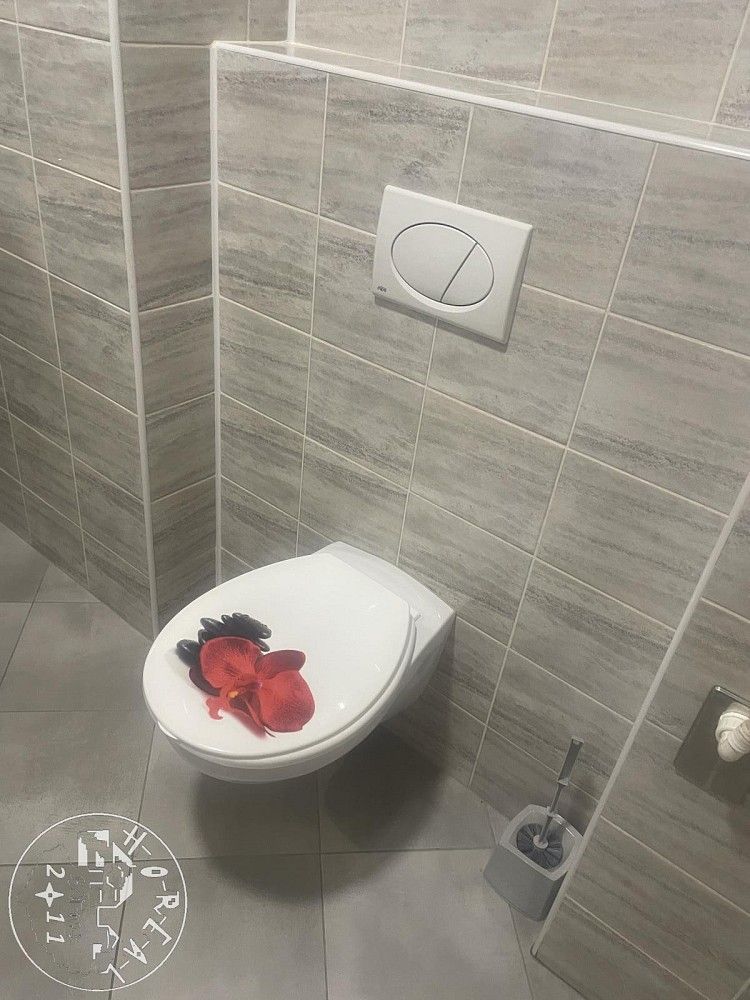 Byt 1+kk · 27 m² · Moravské Budějovice, okres Třebíč, Kraj Vysočina - 3