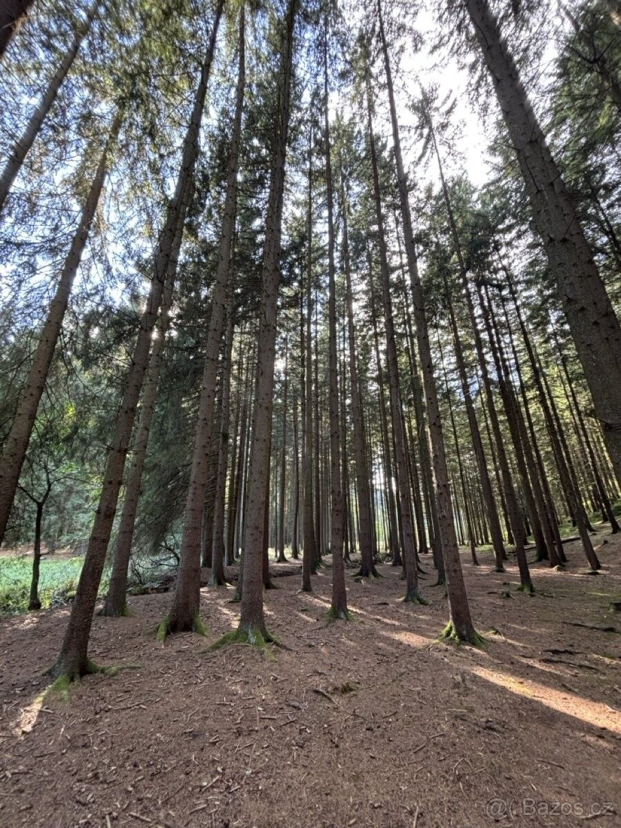 Prodej pozemek pro bydlení - Proseč u Skutče, 539 44