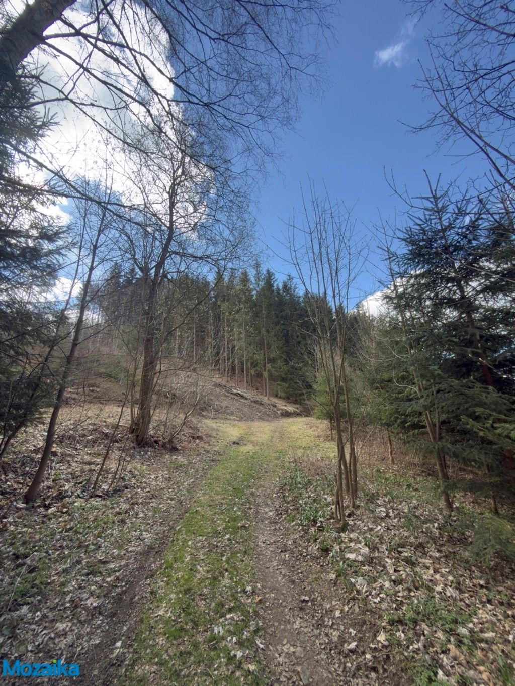 Louka · 9 974 m² · Výprachtice - 3
