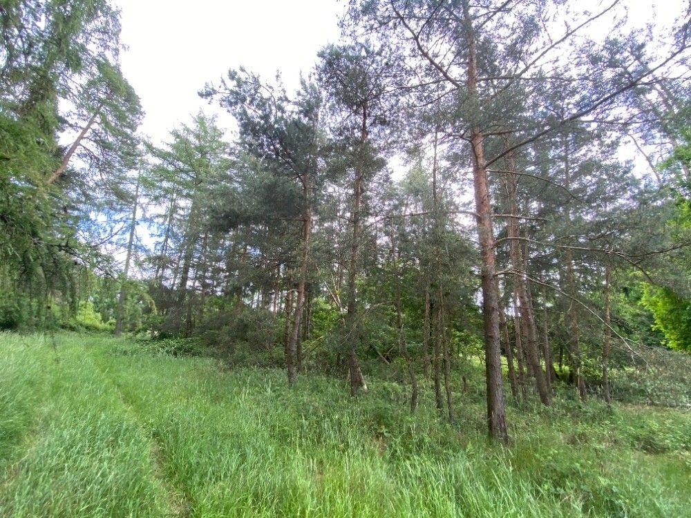 Pozemky pro bydlení, Horšovský Týn, 346 01