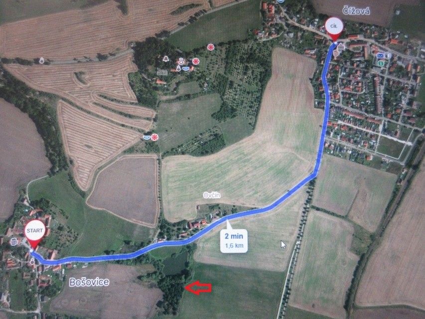 Prodej zemědělský pozemek - Bošovice, Čížová