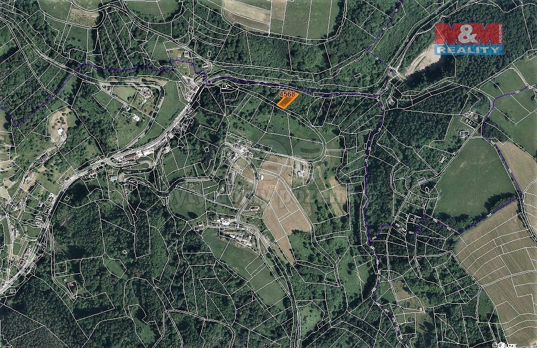 Les · Koberovy, okres Jablonec nad Nisou, Liberecký kraj - 4