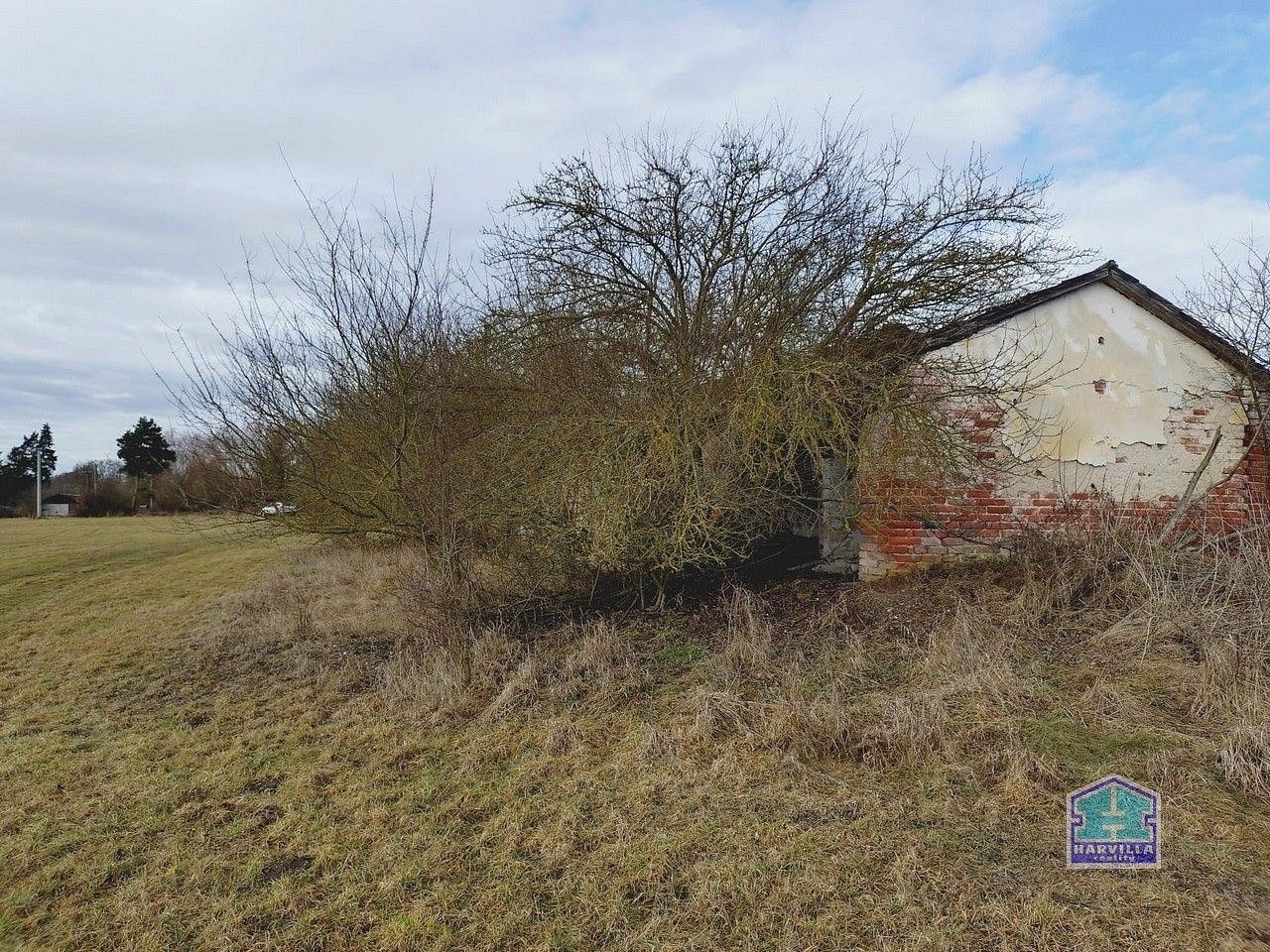 Zemědělské objekty, Kotovice - Nový, okres Plzeň-jih, Plzeňský kraj, 144 m² - 1