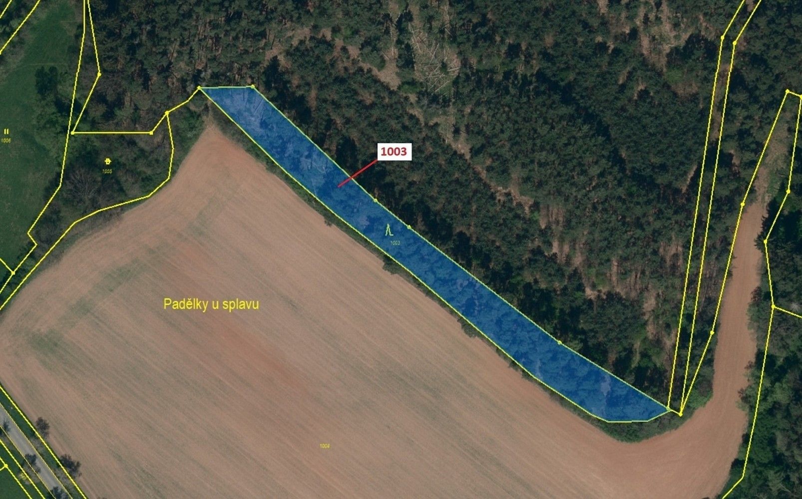 Prodej les - Náměšť nad Oslavou, okres Třebíč, Kraj Vysočina - 2