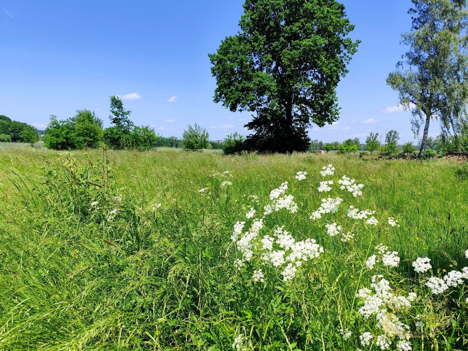 Pozemek pro bydlení · 1 176 m² · Borovany Třebeč - 3