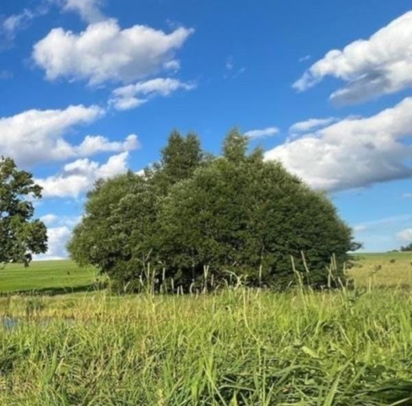 Ostatní, Litomyšl, 570 01, 106 m²