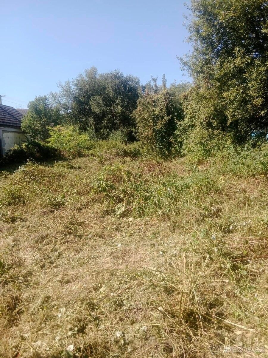 Prodej pozemek pro bydlení - Mikulovice u Jeseníku, 790 84 - 5