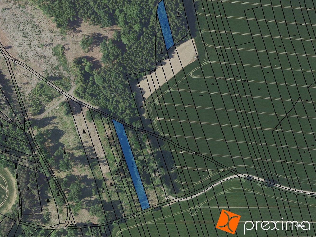 Prodej les - Mnichovice, okres Benešov, Středočeský kraj - 1